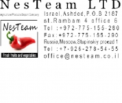 NesTeam Ltd