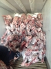 Наша компания реализует Мясо Северного оленя  в тушах