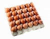 Продаем куриные яйца в широком ассортименте. Яичный меланж и порошок.