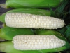 Белая кукуруза: зерно, крупа, мука.