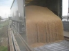 экспорт пшеница протеин 10,5%