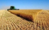 Пшеница на FOB Астрахань