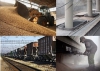 Пшеница 2,3,4 и 5 кл - прямые поставки в Китай!