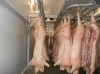 Мясо свинины (полутуши) CIF Китай
